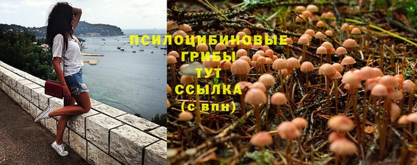 дурь Армянск